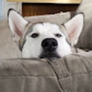 Meet your Posher, Sidney